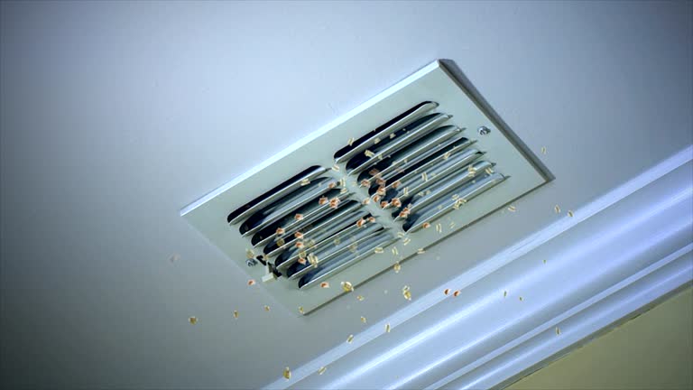 Best Affordable Duct Cleaning Services  in Newton, IL